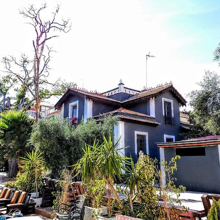 Nwt Paradise Urban Hostel Alicante Eksteriør bilde