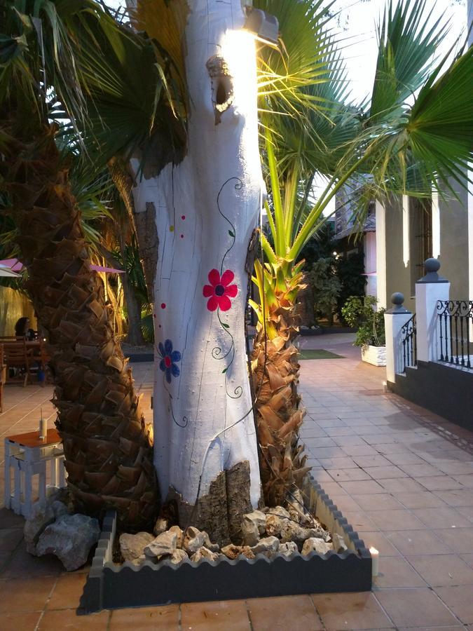 Nwt Paradise Urban Hostel Alicante Eksteriør bilde