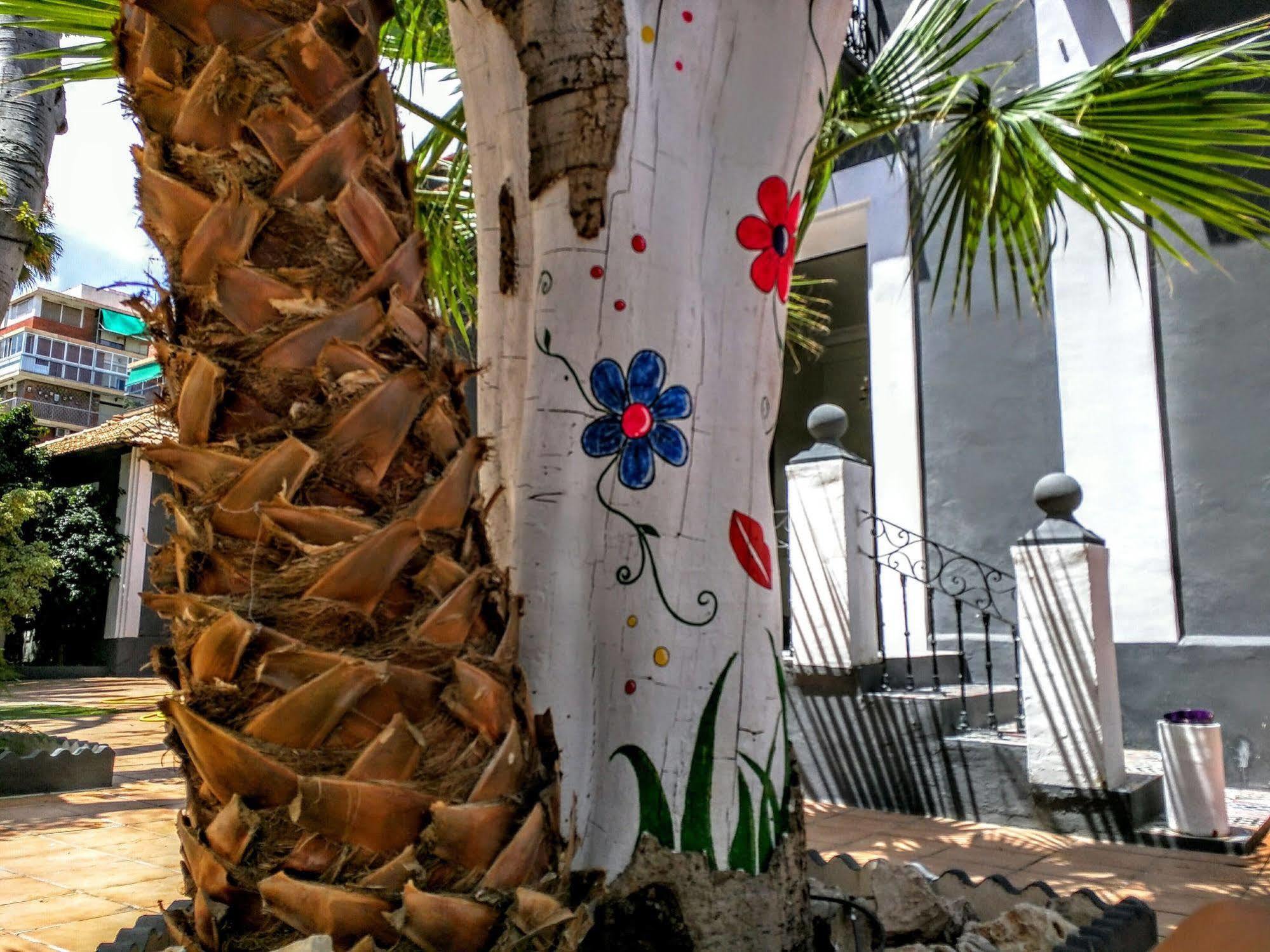 Nwt Paradise Urban Hostel Alicante Eksteriør bilde